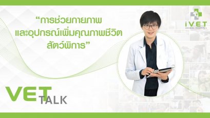 การกายภาพและอุปกรณ์เพื่อคุณภาพชีวิตสัตว์เลี้ยง